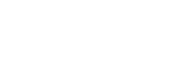 Logo Missing String acoustic guitar duo